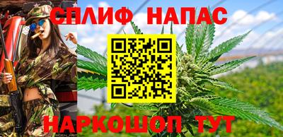 мет Гай
