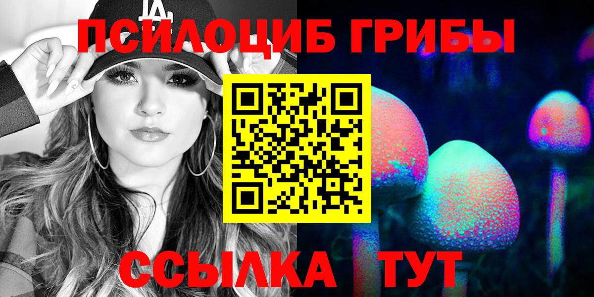 Псилоцибиновые грибы мицелий Нижний Новгород