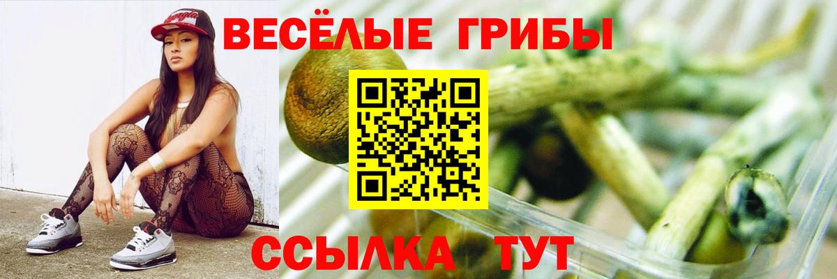 Псилоцибиновые грибы мицелий  закладки  Нижний Новгород  Галлюциногенные грибы Psilocybe  Вход с VPN 