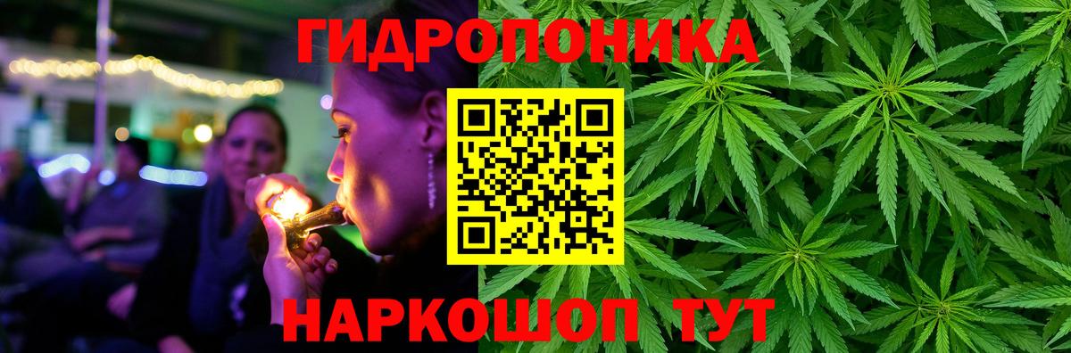 Нижний Новгород  Бошки Шишки ГИДРОПОН  Вход с VPN  Канабис сатива  Канабис OG Kush 